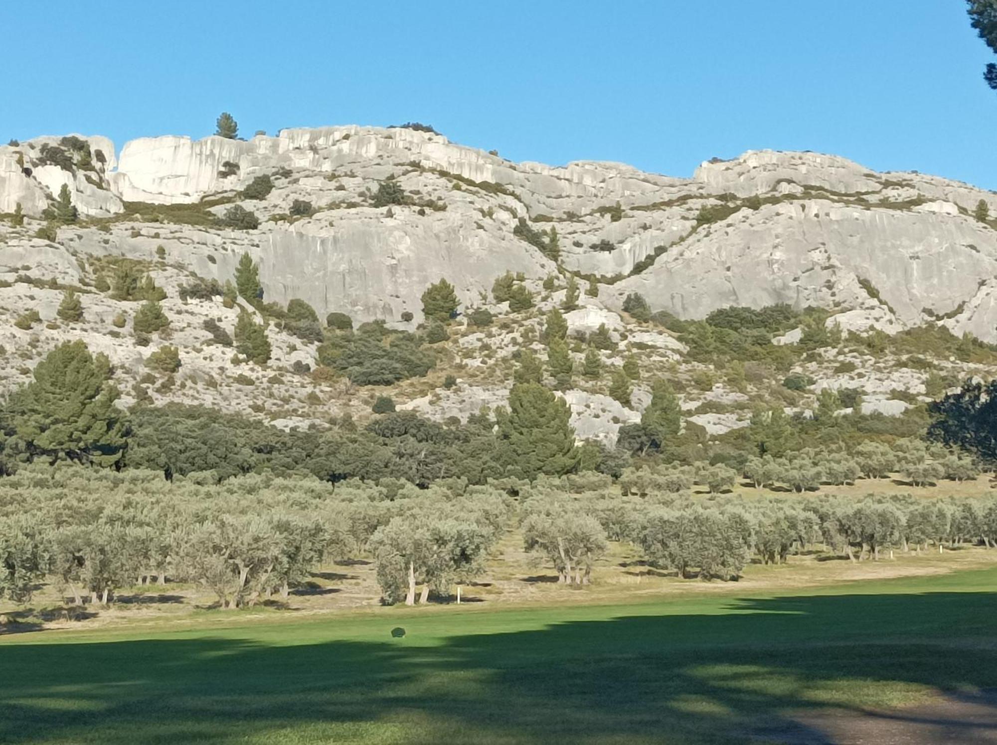 Chambre D'Hote Au Coeur Des Alpilles Mouries Exteriör bild